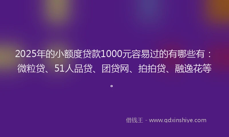 2025年的小额度贷款1000元容易过的有哪些有：微粒贷、51人品贷、团贷网、拍拍贷、融逸花等。