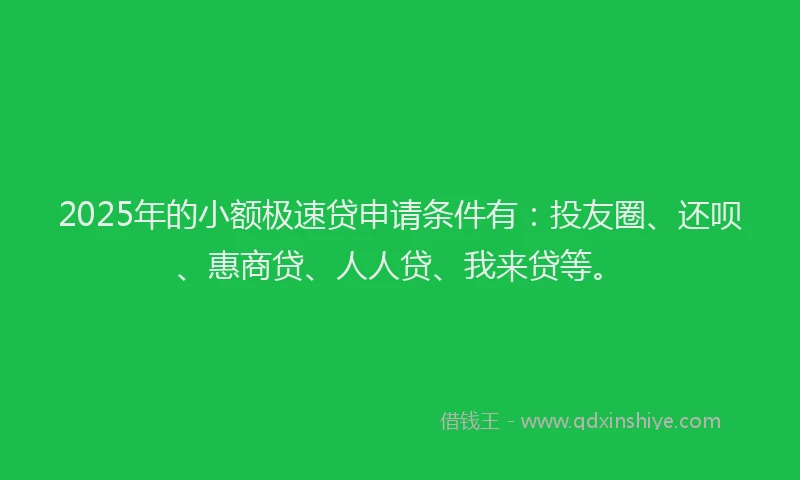 2025年的小额极速贷申请条件有：投友圈、还呗、惠商贷、人人贷、我来贷等。