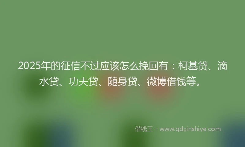 2025年的征信不过应该怎么挽回有：柯基贷、滴水贷、功夫贷、随身贷、微博借钱等。