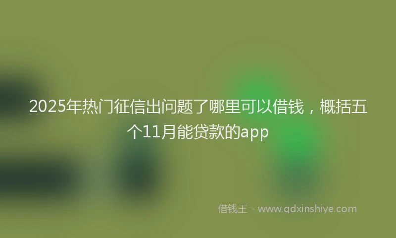 2025年热门征信出问题了哪里可以借钱，概括五个11月能贷款的app