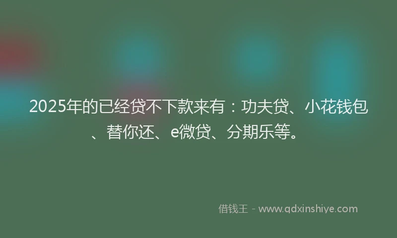 2025年的已经贷不下款来有：功夫贷、小花钱包、替你还、e微贷、分期乐等。