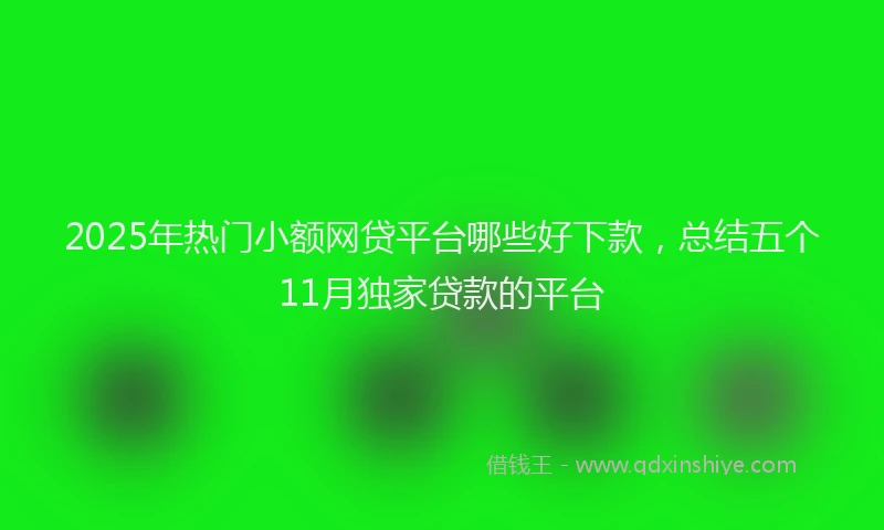 2025年热门小额网贷平台哪些好下款,总结五个11月独家贷款的平台