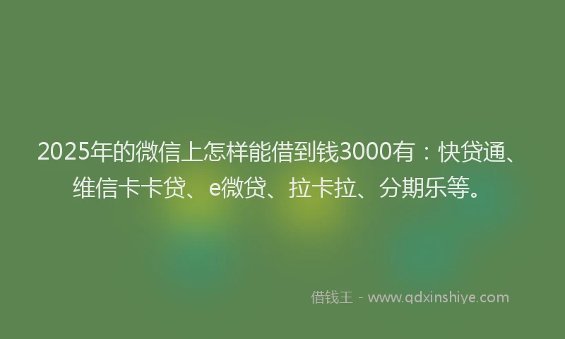 2025年的微信上怎样能借到钱3000有：快贷通、维信卡卡贷、e微贷、拉卡拉、分期乐等。