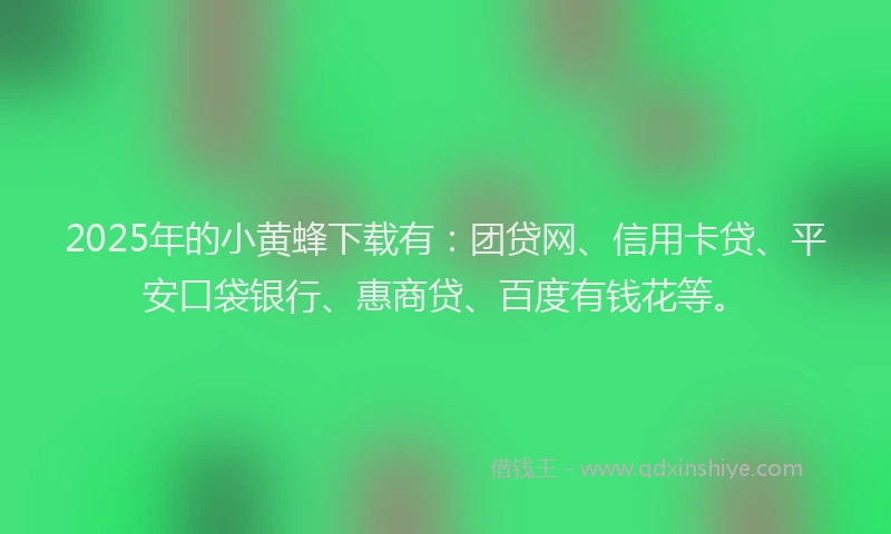2025年的小黄蜂下载有：团贷网、信用卡贷、平安口袋银行、惠商贷、百度有钱花等。