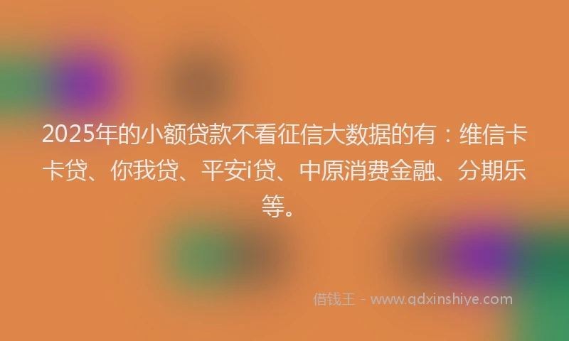 2025年的小额贷款不看征信大数据的有：维信卡卡贷、你我贷、平安i贷、中原消费金融、分期乐等。