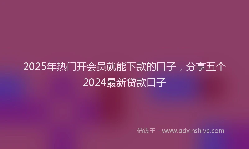 2025年热门开会员就能下款的口子，分享五个2024最新贷款口子