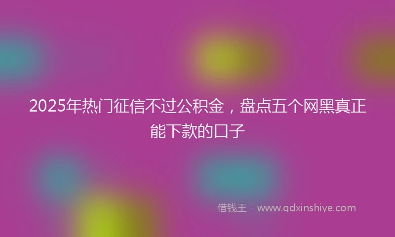 2025年热门征信不过公积金，盘点五个网黑真正能下款的口子