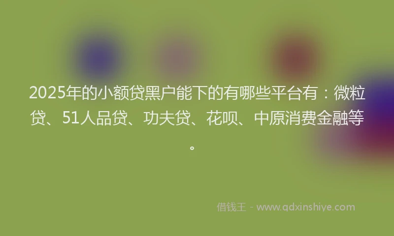 2025年的小额贷黑户能下的有哪些平台有：微粒贷、51人品贷、功夫贷、花呗、中原消费金融等。