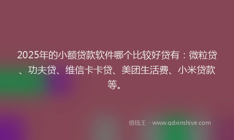 2025年的小额贷款软件哪个比较好贷有：微粒贷、功夫贷、维信卡卡贷、美团生活费、小米贷款等。