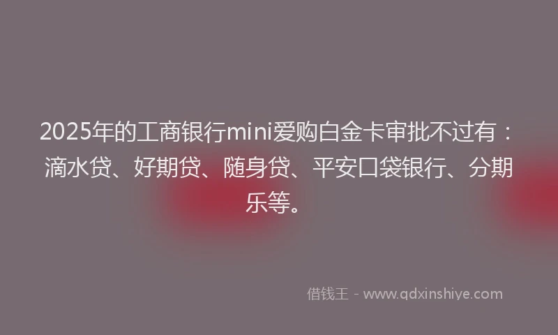 2025年的工商银行mini爱购白金卡审批不过有：滴水贷、好期贷、随身贷、平安口袋银行、分期乐等。