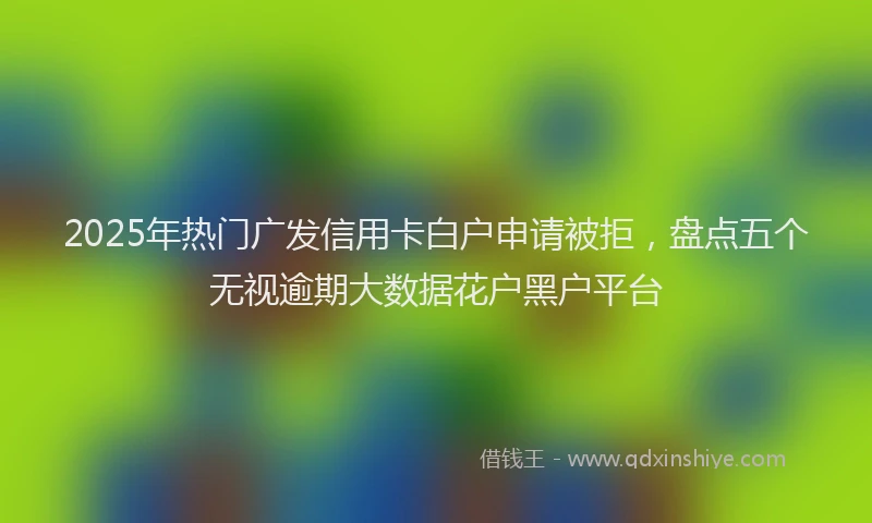 2025年热门广发信用卡白户申请被拒，盘点五个无视逾期大数据花户黑户平台