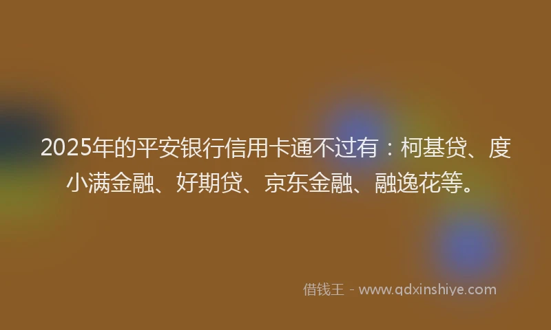 2025年的平安银行信用卡通不过有：柯基贷、度小满金融、好期贷、京东金融、融逸花等。