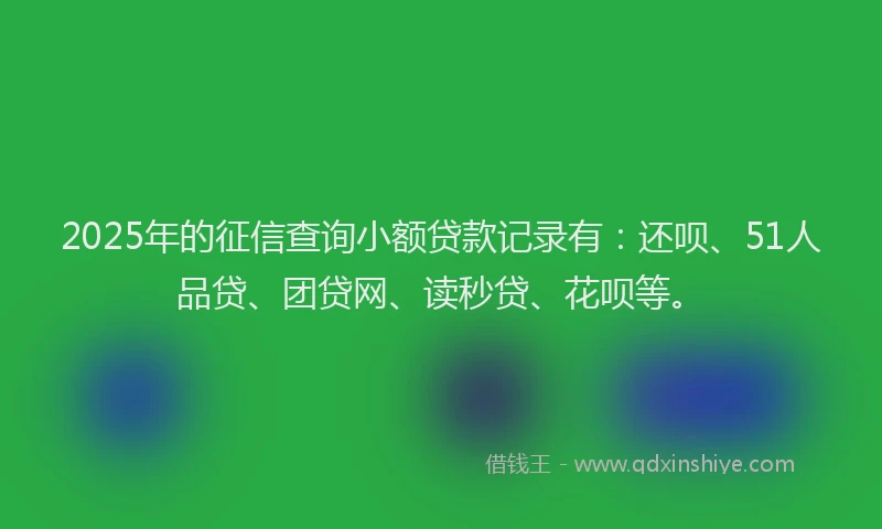 2025年的征信查询小额贷款记录有：还呗、51人品贷、团贷网、读秒贷、花呗等。