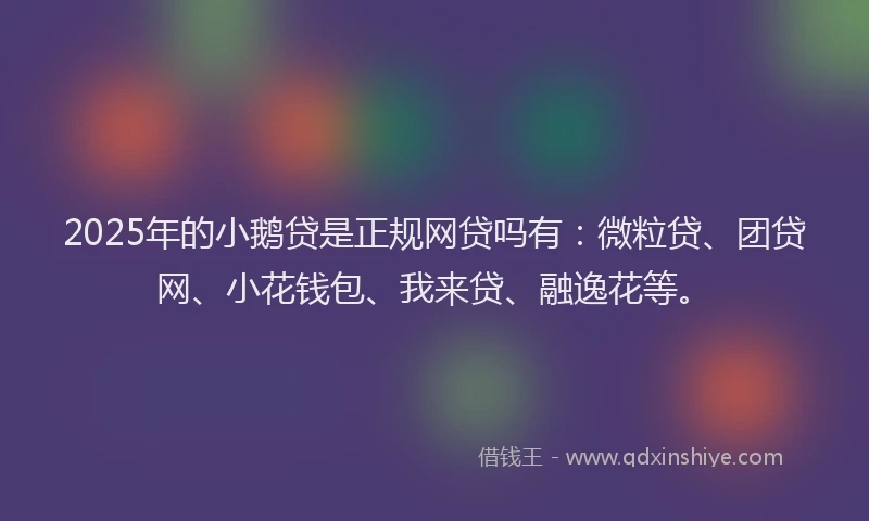 2025年的小鹅贷是正规网贷吗有：微粒贷、团贷网、小花钱包、我来贷、融逸花等。