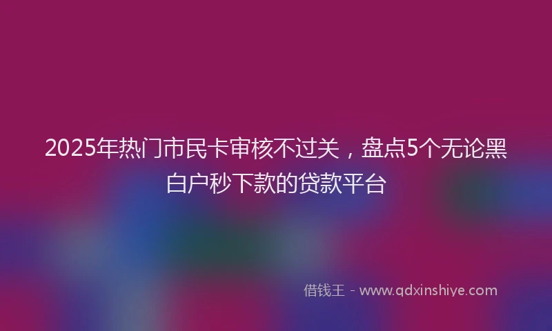 2025年热门市民卡审核不过关，盘点5个无论黑白户秒下款的贷款平台
