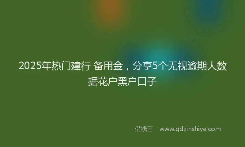 2025年热门建行 备用金,分享5个无视逾期大数据花户黑户口子