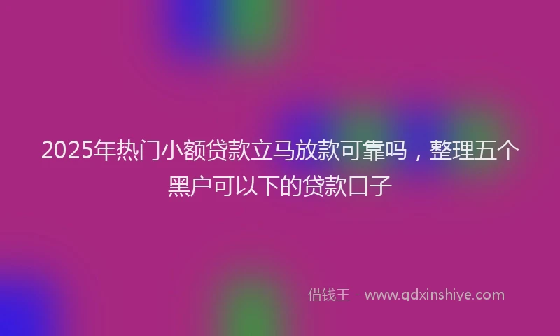 2025年热门小额贷款立马放款可靠吗，整理五个黑户可以下的贷款口子
