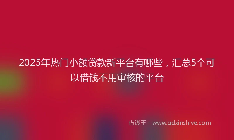 2025年热门小额贷款新平台有哪些，汇总5个可以借钱不用审核的平台