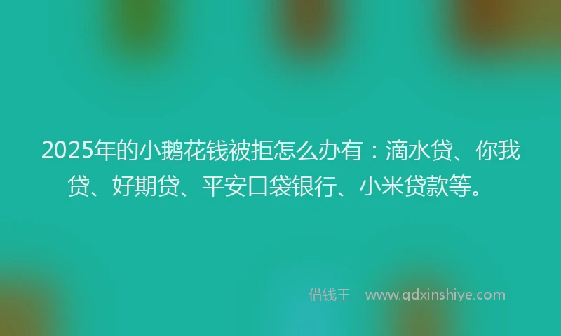 2025年的小鹅花钱被拒怎么办有：滴水贷、你我贷、好期贷、平安口袋银行、小米贷款等。