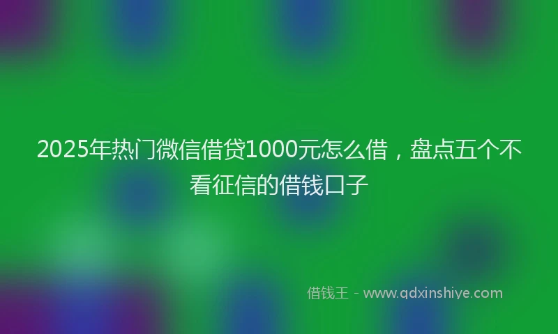 2025年热门微信借贷1000元怎么借，盘点五个不看征信的借钱口子
