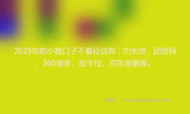 2025年的小额口子不看征信有：功夫贷、团贷网、360借条、拉卡拉、京东金融等。