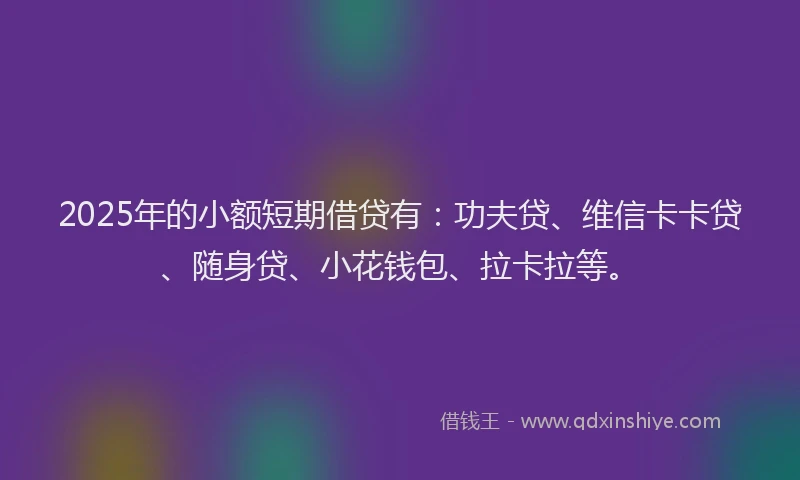 2025年的小额短期借贷有：功夫贷、维信卡卡贷、随身贷、小花钱包、拉卡拉等。