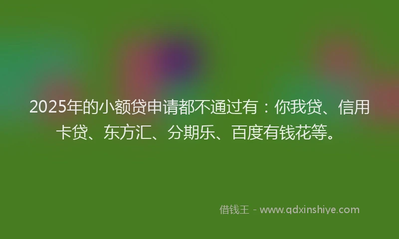 2025年的小额贷申请都不通过有：你我贷、信用卡贷、东方汇、分期乐、百度有钱花等。