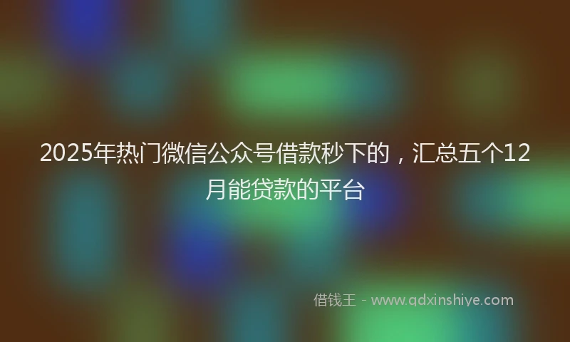 2025年热门微信公众号借款秒下的，汇总五个12月能贷款的平台