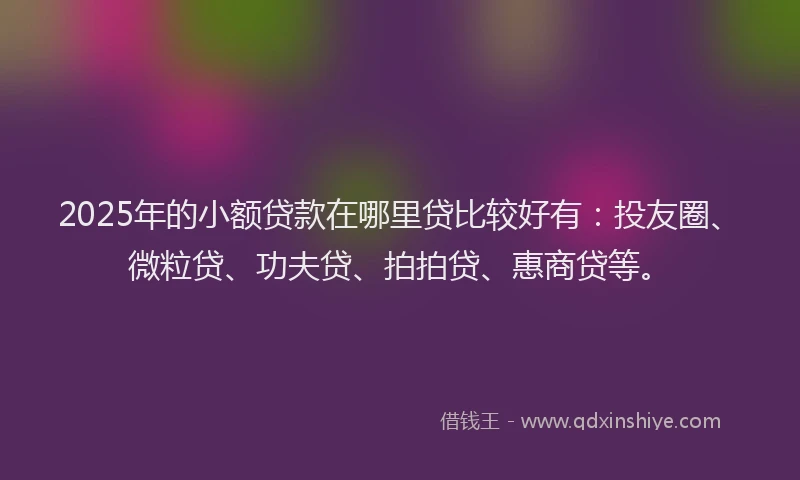 2025年的小额贷款在哪里贷比较好有：投友圈、微粒贷、功夫贷、拍拍贷、惠商贷等。