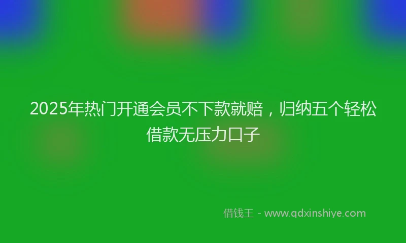 2025年热门开通会员不下款就赔，归纳五个轻松借款无压力口子