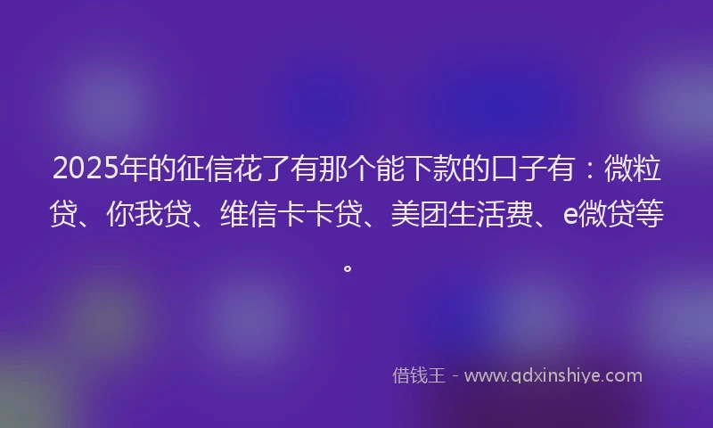2025年的征信花了有那个能下款的口子有：微粒贷、你我贷、维信卡卡贷、美团生活费、e微贷等。