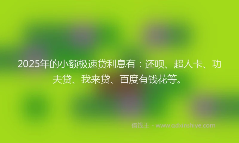 2025年的小额极速贷利息有：还呗、超人卡、功夫贷、我来贷、百度有钱花等。