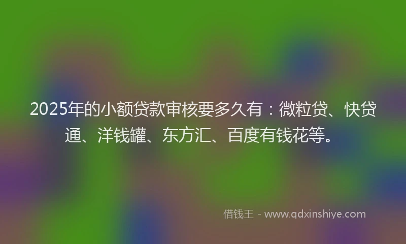 2025年的小额贷款审核要多久有：微粒贷、快贷通、洋钱罐、东方汇、百度有钱花等。