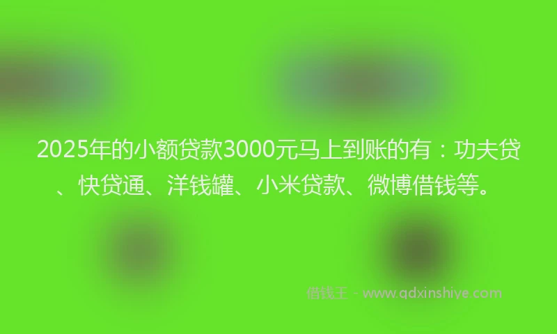 2025年的小额贷款3000元马上到账的有：功夫贷、快贷通、洋钱罐、小米贷款、微博借钱等。