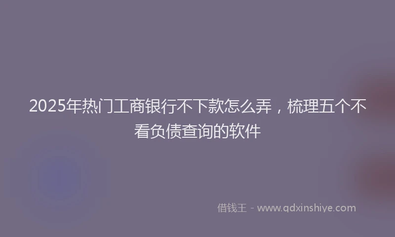 2025年热门工商银行不下款怎么弄，梳理五个不看负债查询的软件