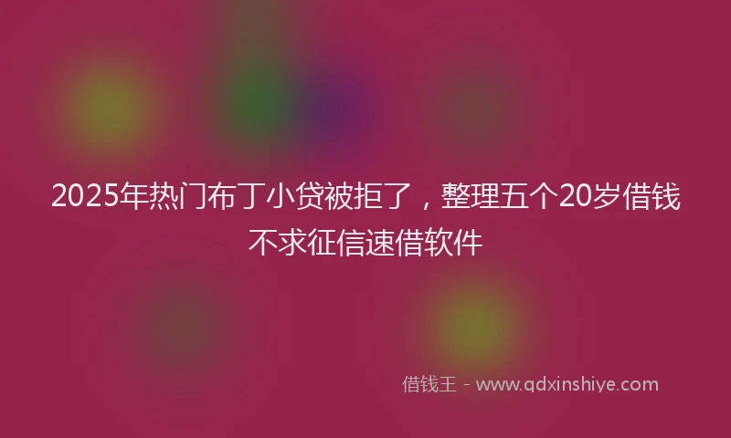 2025年热门布丁小贷被拒了，整理五个20岁借钱不求征信速借软件