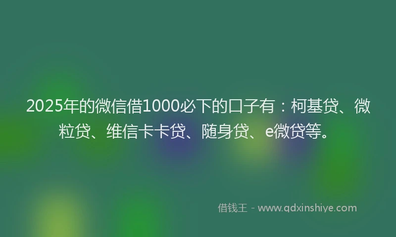 2025年的微信借1000必下的口子有：柯基贷、微粒贷、维信卡卡贷、随身贷、e微贷等。