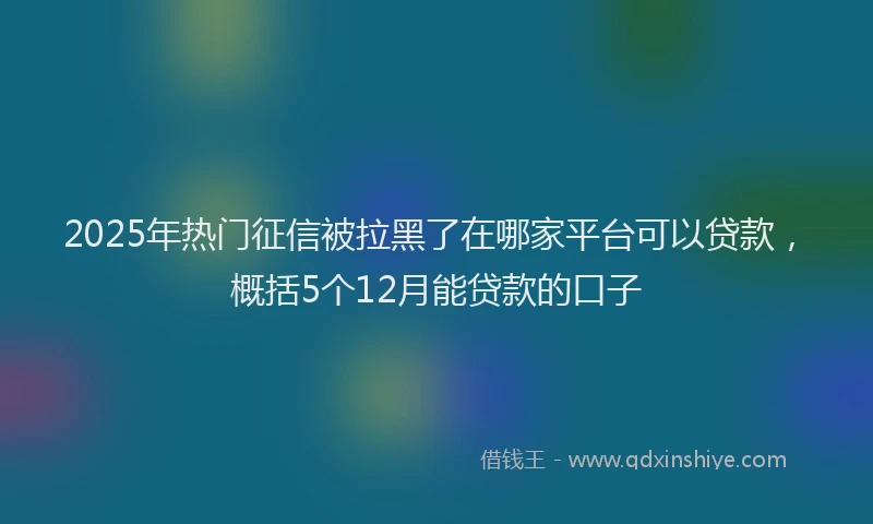 2025年热门征信被拉黑了在哪家平台可以贷款，概括5个12月能贷款的口子