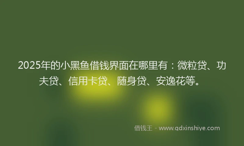 2025年的小黑鱼借钱界面在哪里有：微粒贷、功夫贷、信用卡贷、随身贷、安逸花等。