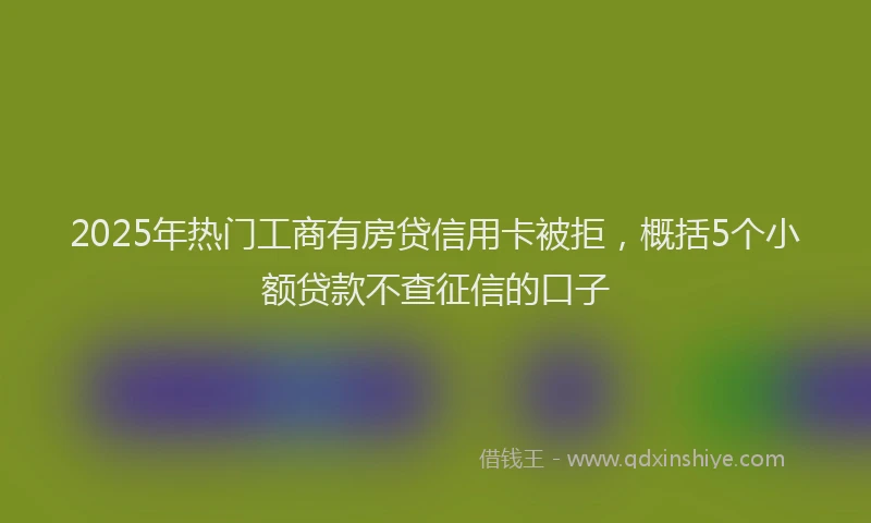 2025年热门工商有房贷信用卡被拒，概括5个小额贷款不查征信的口子