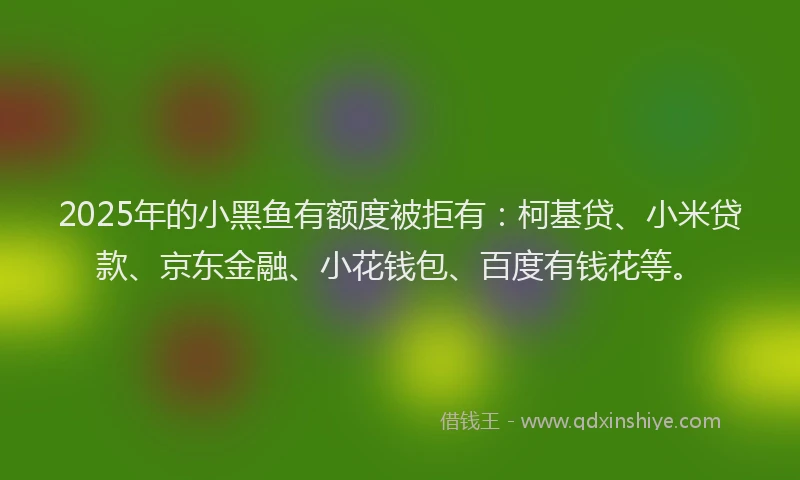 2025年的小黑鱼有额度被拒有：柯基贷、小米贷款、京东金融、小花钱包、百度有钱花等。