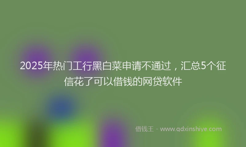 2025年热门工行黑白菜申请不通过，汇总5个征信花了可以借钱的网贷软件