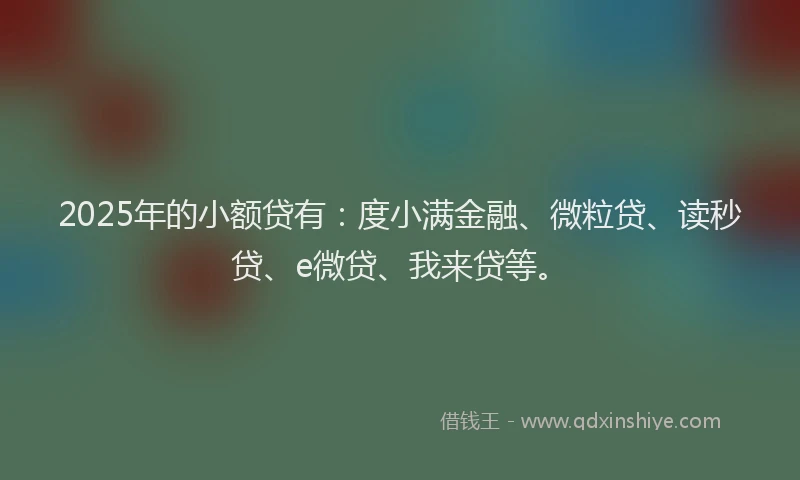 2025年的小额贷有：度小满金融、微粒贷、读秒贷、e微贷、我来贷等。