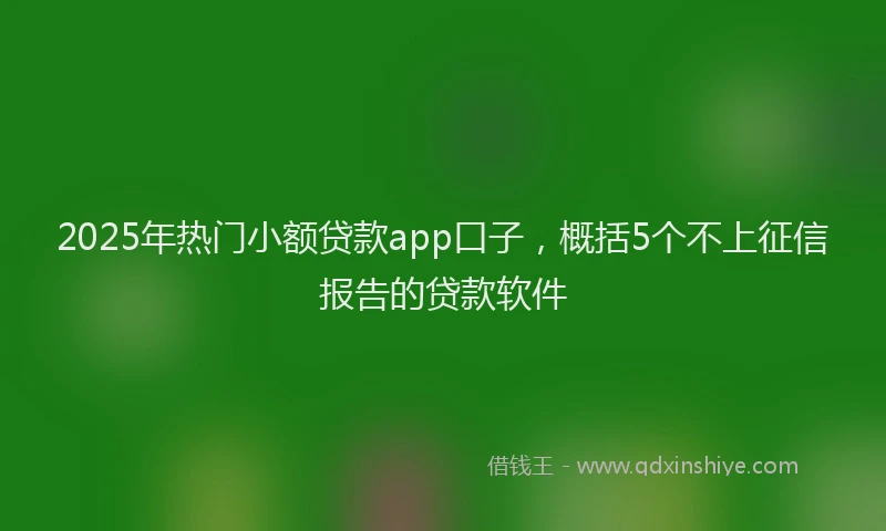 2025年热门小额贷款app口子，概括5个不上征信报告的贷款软件