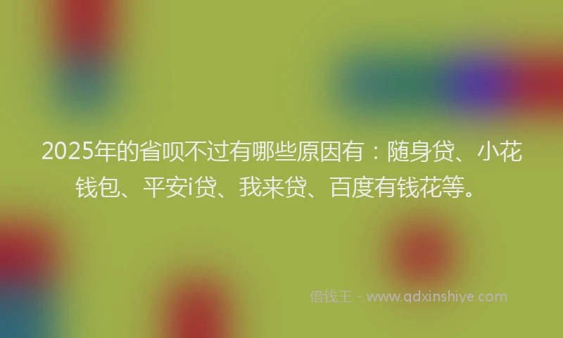 2025年的省呗不过有哪些原因有：随身贷、小花钱包、平安i贷、我来贷、百度有钱花等。