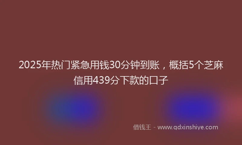 2025年热门紧急用钱30分钟到账，概括5个芝麻信用439分下款的口子