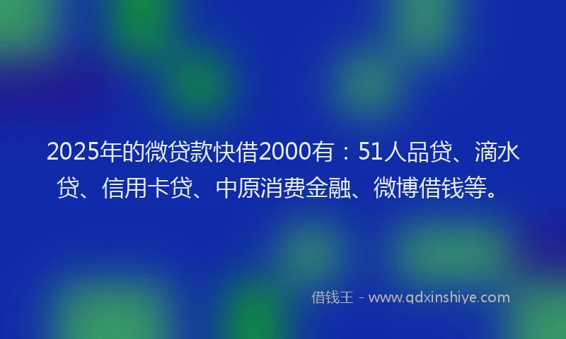 2025年的微贷款快借2000有：51人品贷、滴水贷、信用卡贷、中原消费金融、微博借钱等。