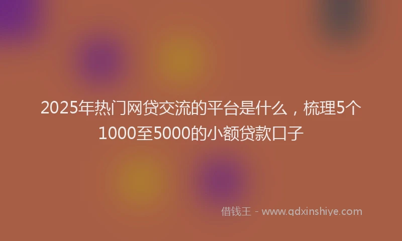 2025年热门网贷交流的平台是什么，梳理5个1000至5000的小额贷款口子