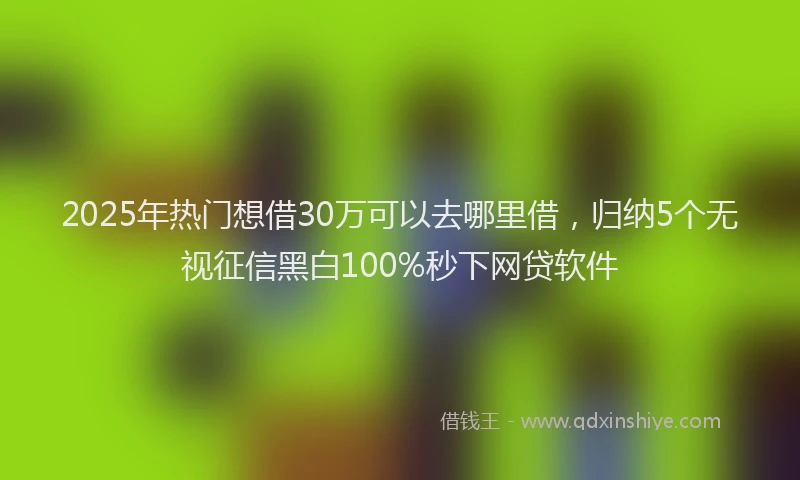 2025年热门想借30万可以去哪里借，归纳5个无视征信黑白100%秒下网贷软件