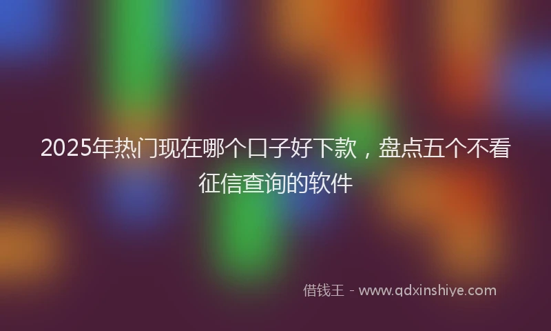 2025年热门现在哪个口子好下款，盘点五个不看征信查询的软件